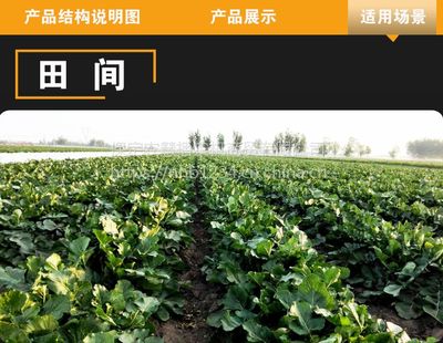 新款汽油动力蔬菜播种机——襄樊厂家直营，精准高效助农增收