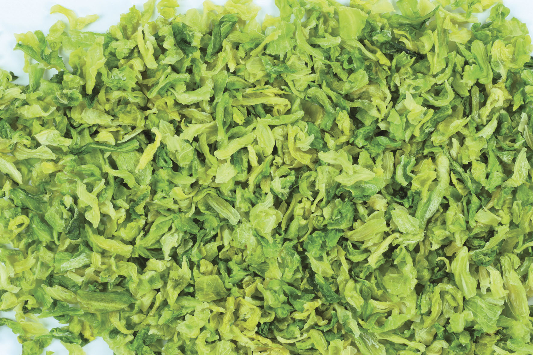 广东东莞脱水高丽菜厂家直销 品质脱水蔬菜的源头之选