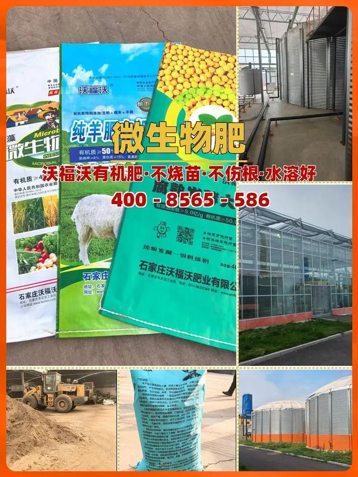 惠州园林苗圃与蔬菜底肥制造 构建绿色种植的基石