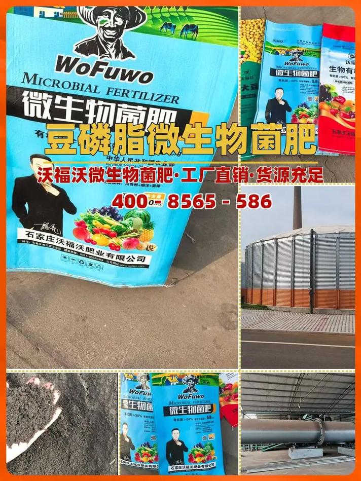 泉州适用大棚蔬菜园林制造厂 培育绿色蔬菜的创新之路