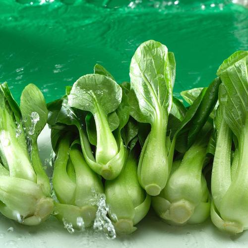 出口蔬菜追肥用什么肥料好？