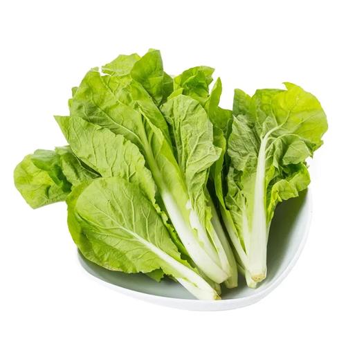 蔬菜农药残留检测与有害物质测试 守护餐桌安全的关键防线